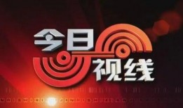 广州今日爆料热线电话,揭秘城市新鲜事